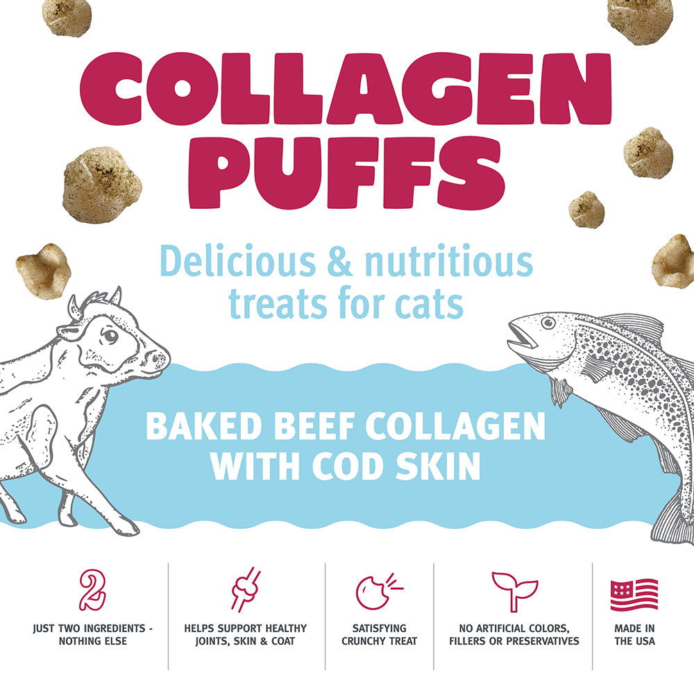 Cat Collagen Puffs Highlights Panel