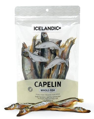 ICELANDIC+ OFFERS HEARTY SOLUTION FOR DOGS EATING GRAIN-FREE DIETS