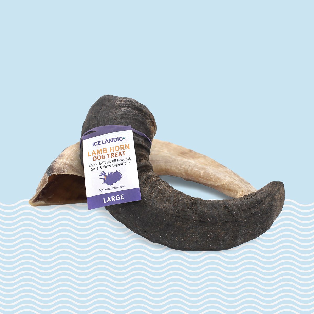 Lamb Horn Dog Chew Bundle – Large Chews – Icelandic+