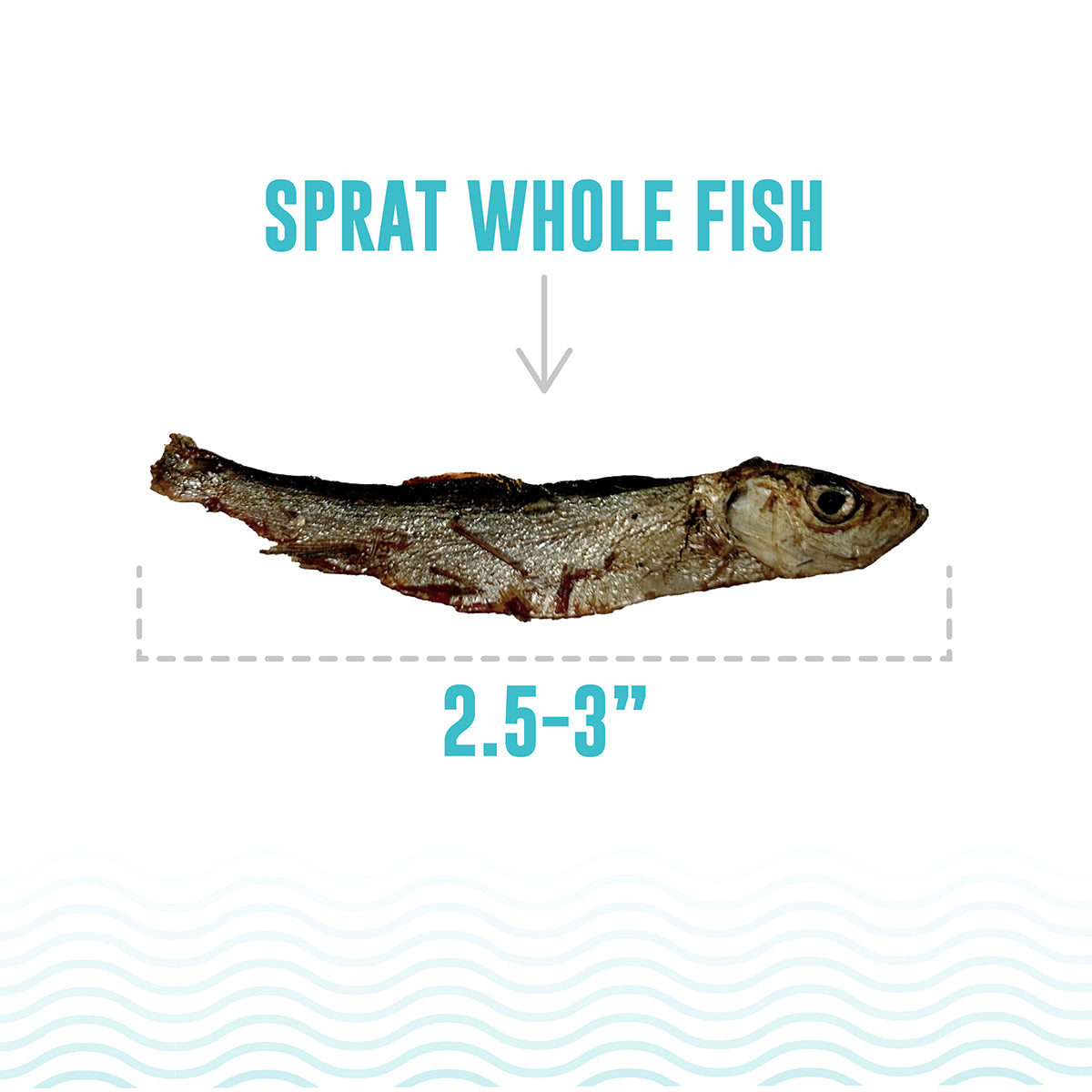 Sprat Whole Fish Dog Treats – Icelandic+