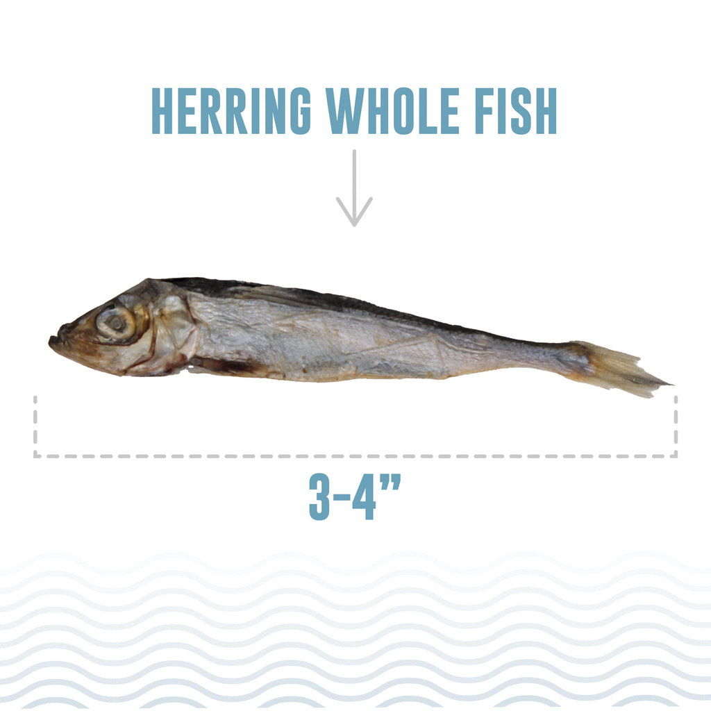 This size of a whole herring fish is 3-4 inches.