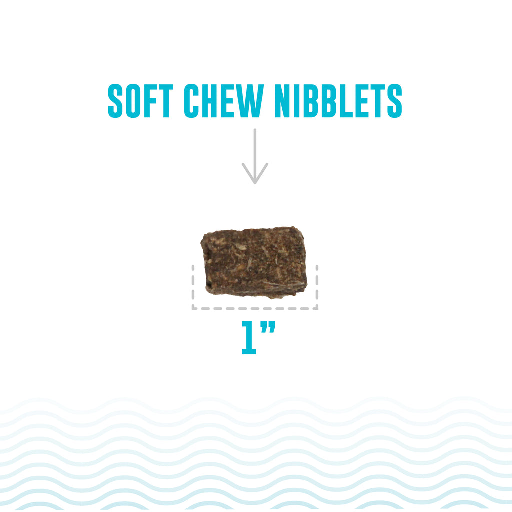 Icelandic+ Soft Chew Nibblets Salmon & Seaweed Recipe Dog Treat. Bite-sized soft treats made with Wild Caught Fish and Icelandic Seaweed. Rich in Omega 3s. Excellent Training Treat. Grain Free.