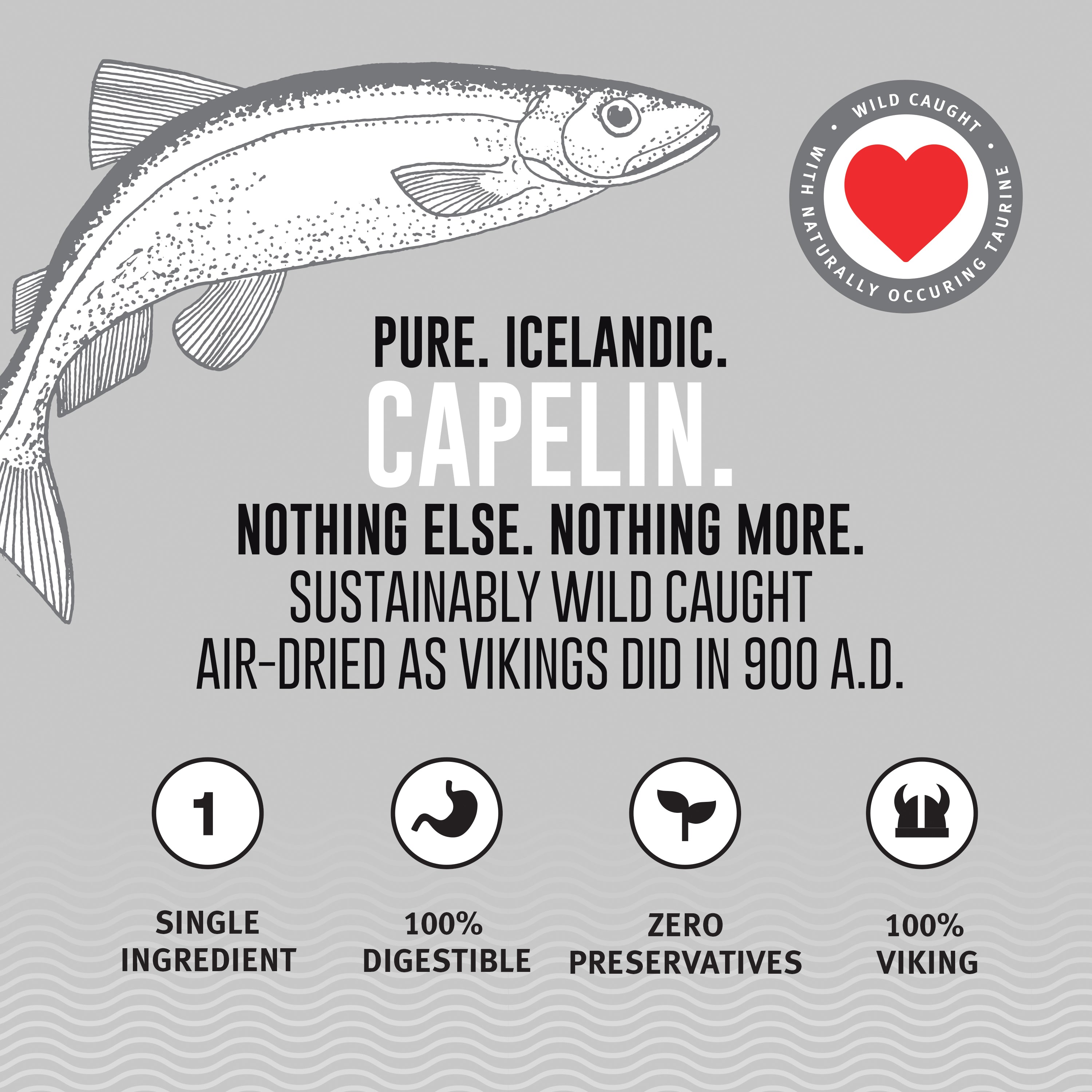 Caplein Capelin Fish